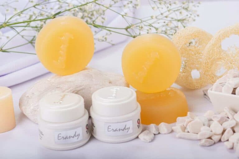 The Nutritional and Medicinal Benefits of Bay Leaf Spices